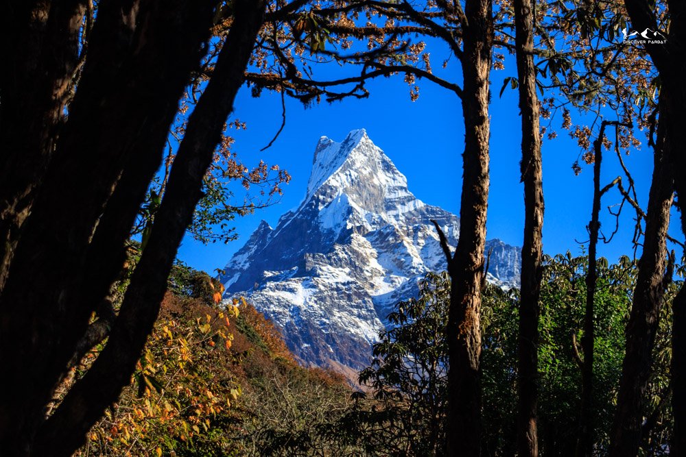 Mardi Himal Trek 