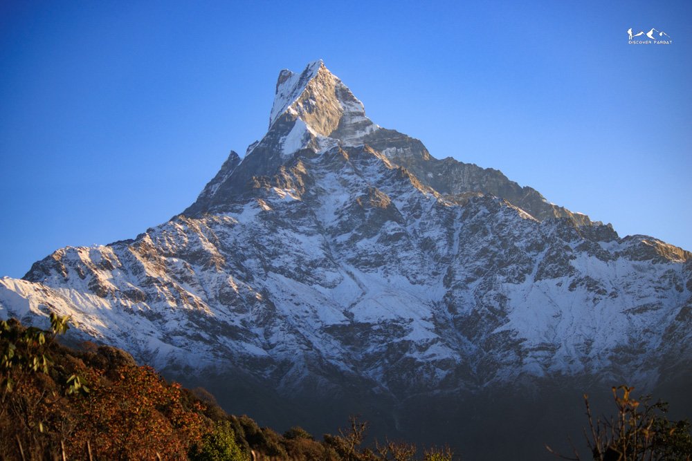 Mardi Himal Trek 