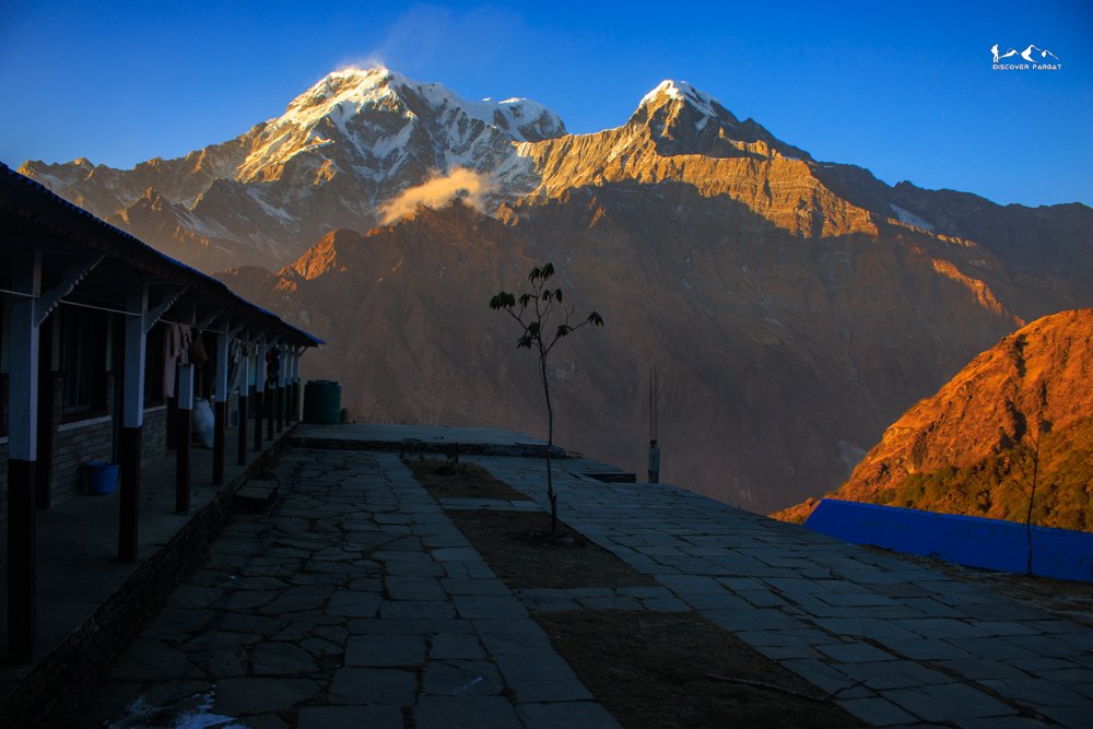 Mardi Himal Trek 