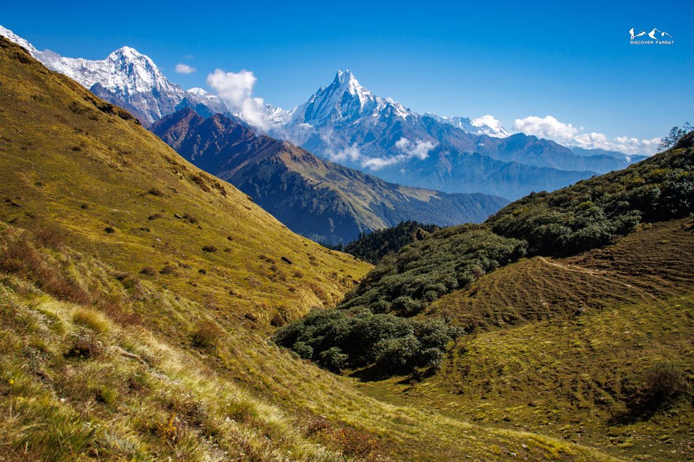 Multiple Viewpoints Trek