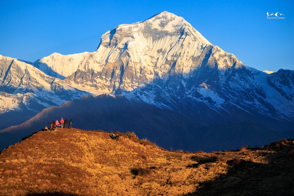 Multiple Viewpoints Trek