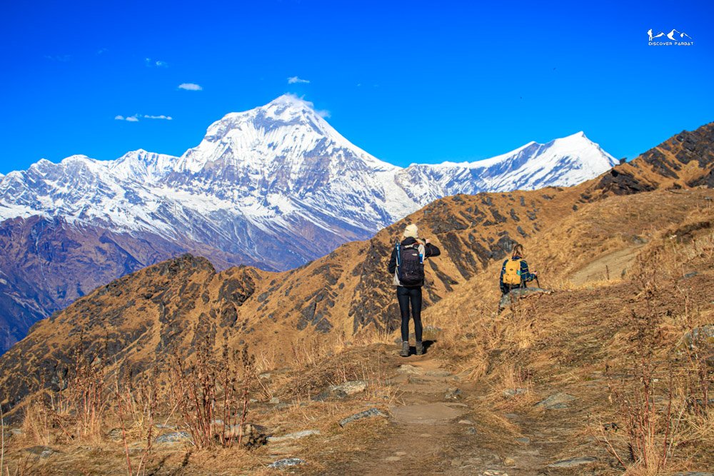 Multiple Viewpoints Trek