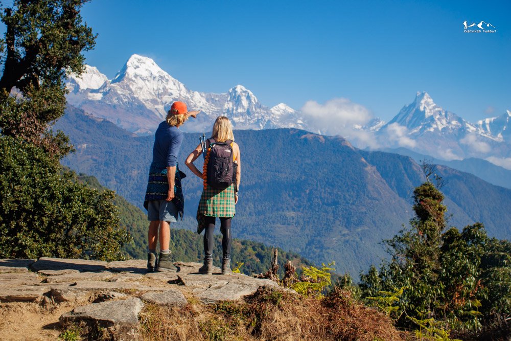 Multiple Viewpoints Trek