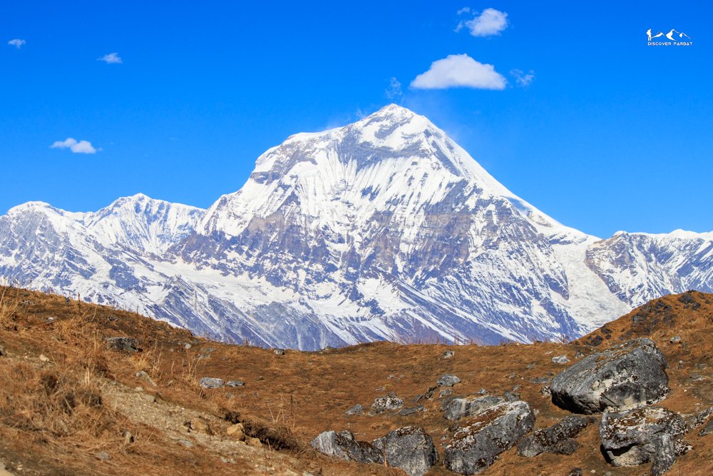 Multiple Viewpoints Trek