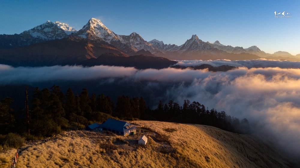 Multiple Viewpoints Trek