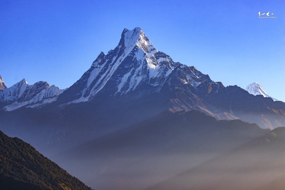 Multiple Viewpoints Trek