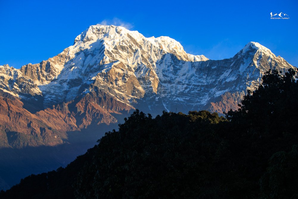 Multiple Viewpoints Trek