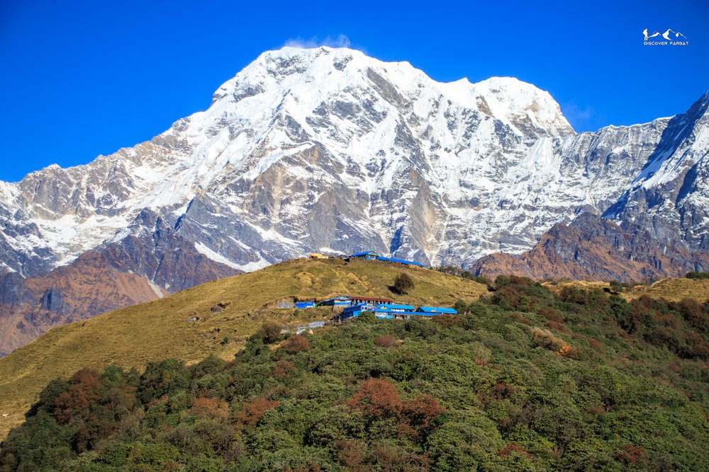 Multiple Viewpoints Trek