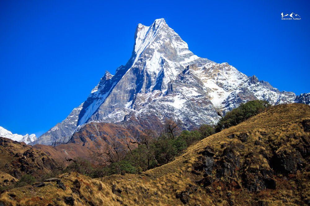 Multiple Viewpoints Trek